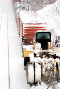 DSC_5097.jpg