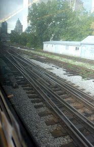 DSC_3371.jpg