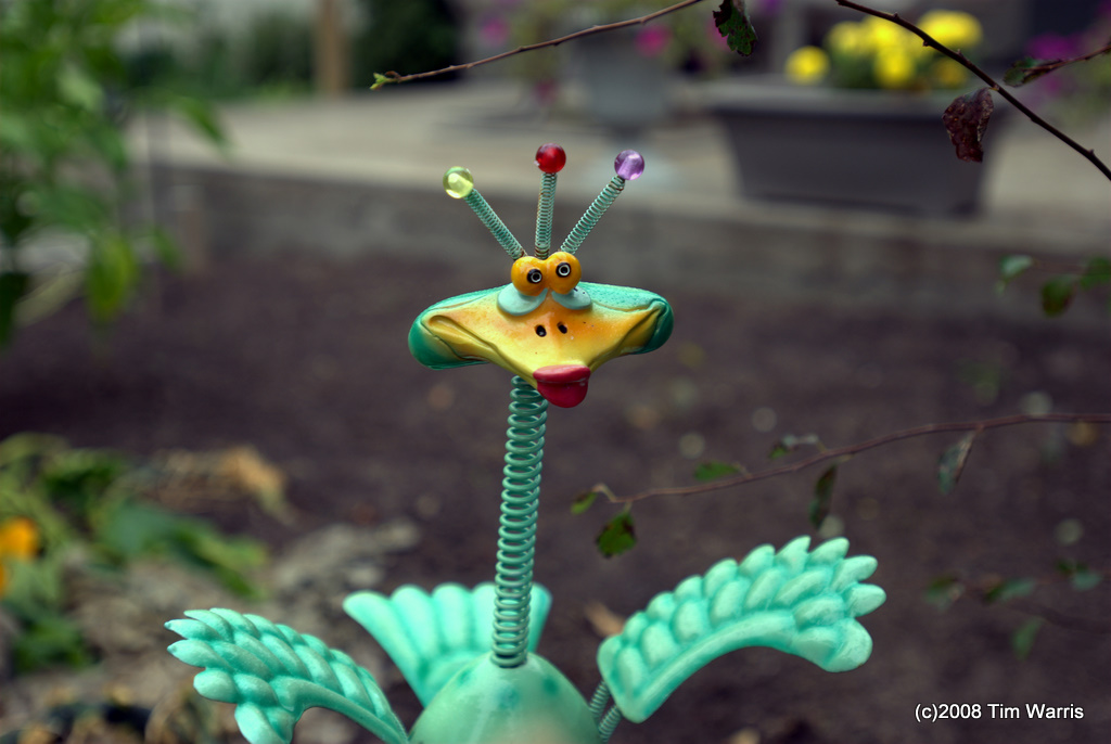 Springy Bird Thing Bird