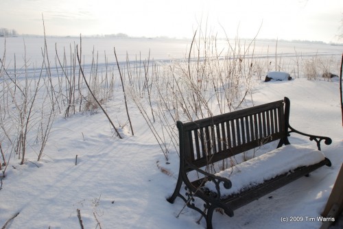 Frosty Bench